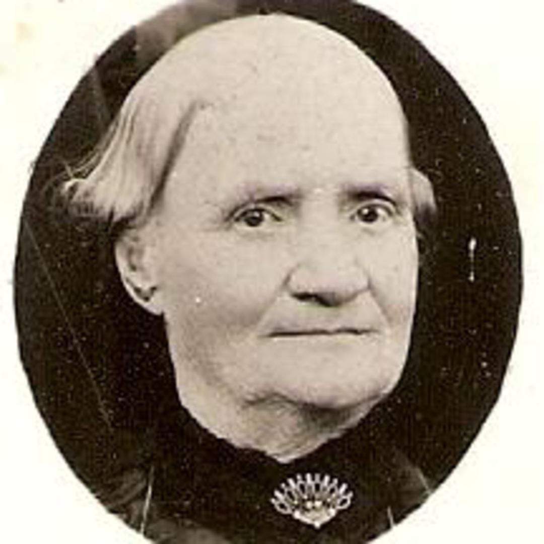 Hannah Hill (1833 - 1906) Profile